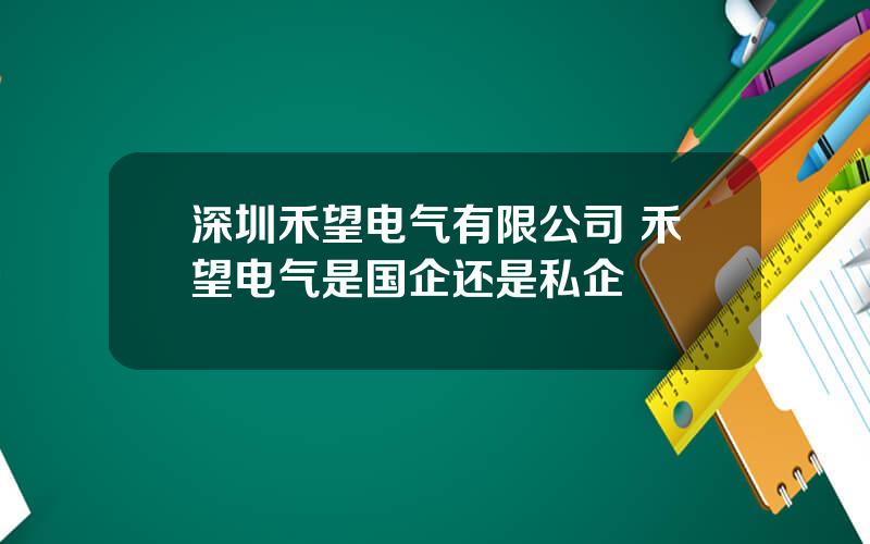 深圳禾望电气有限公司 禾望电气是国企还是私企